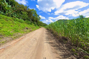 Homem &eacute; encontrado morto em canavial na zona rural do Cabo de Santo Agostinho