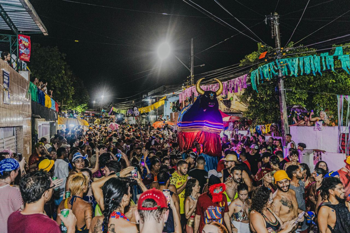 O Boi da Macuca desenvolveu uma forte relação com o bairro de Guadalupe, em Olinda. /Nicole Rodrigues/Divulgação