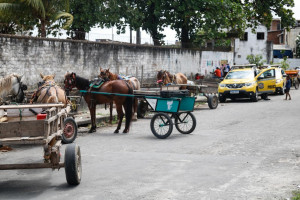 Carroceiros se re&uacute;nem para iniciar protesto contra lei que pro&iacute;be ve&iacute;culos de tra&ccedil;&atilde;o animal no Recife

