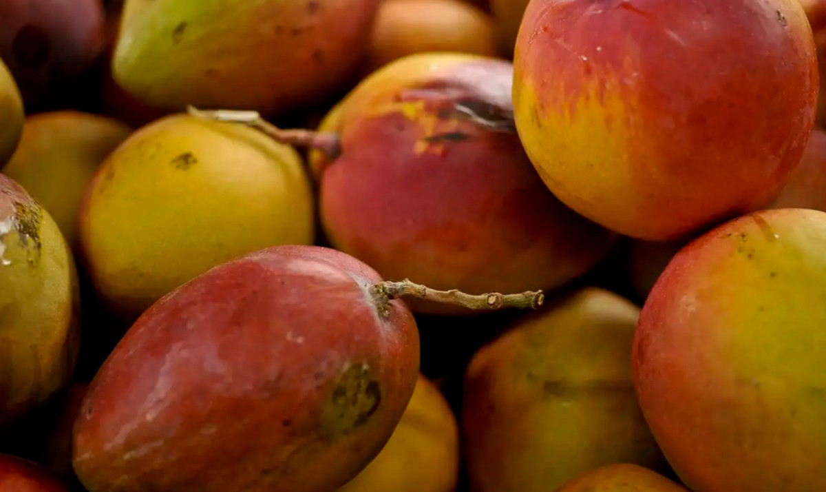Mangas/Foto:  Marcello Casal Jr/Ag&ecirc;ncia Brasil