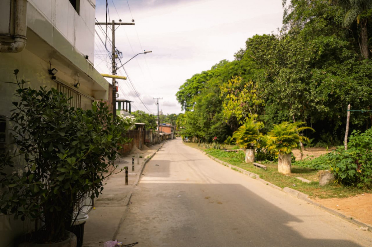 Vila Gilberto Viegas, na Guabiraba, é a comunidade mais arborizada do Grande Recife (Crysli Viana/DP FOTO)