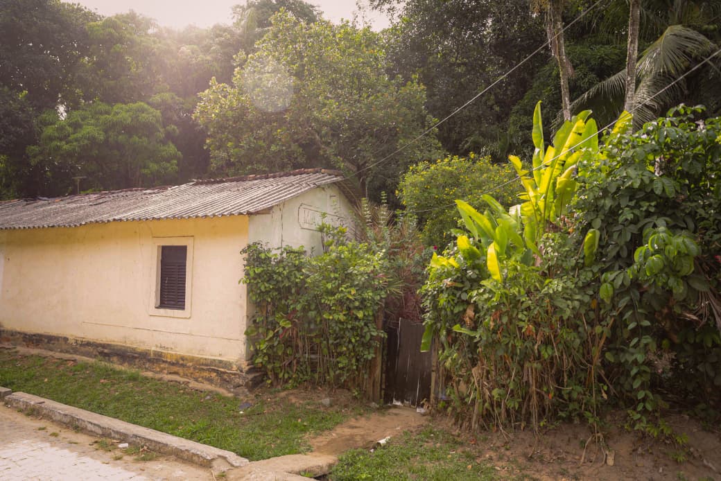 Vila Gilberto Viegas, na Guabiraba, é a comunidade mais arborizada do Grande Recife (Crysli Viana/DP FOTO)