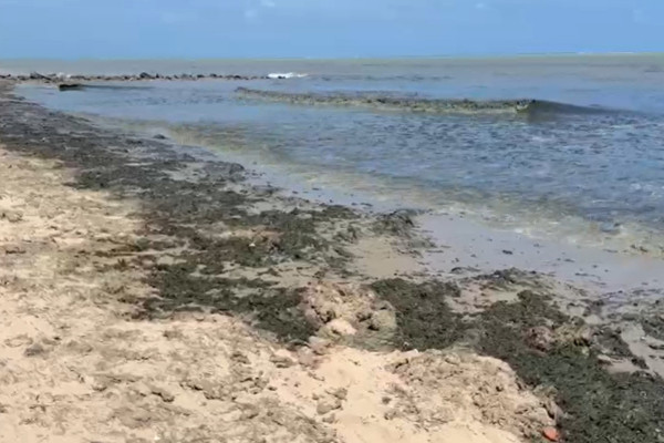 Foto: Reprodução de Vídeo/CPRH