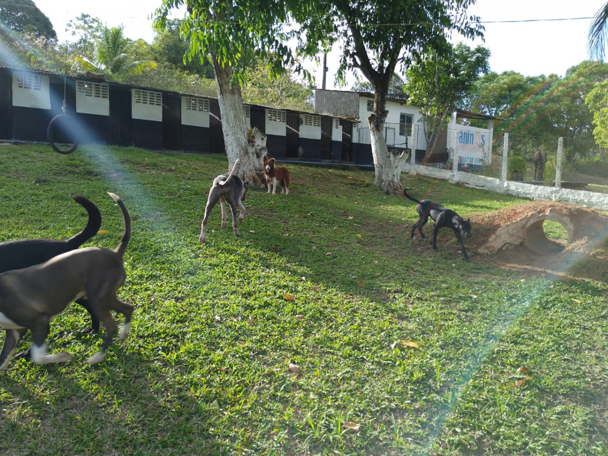 Foto: Divulgação