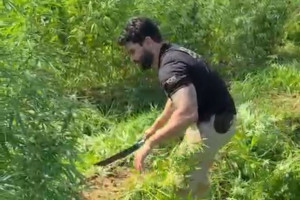 Pol&iacute;cia apreende mais de uma tonelada de maconha