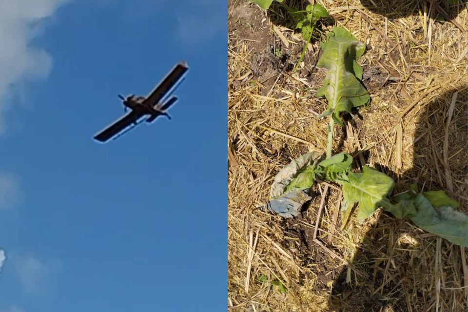 Camponeses filmaram ação de pulverização aérea/Cortesia