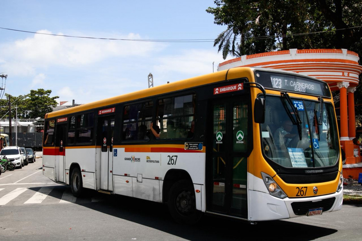Montagem do Camarote do Galo provoca mudanças em paradas e linhas de ônibus (Marina Torres/DP Foto)