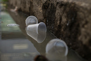 Recife j&aacute; tem 12 casos de dengue em 2026