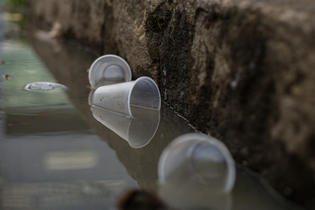 Recife já tem 12 casos de dengue em 2026/Foto: Crysli Viana/DP Foto
