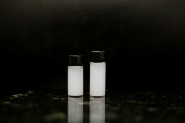 Por meio das simulações computacionais, foram observadas que as moléculas cariofileno e copaeno, presentes no óleo de copaíba, desenvolvem uma "barreira de proteção nos neurônios"
 (Fotos: Crysli Viana/ DP Foto)