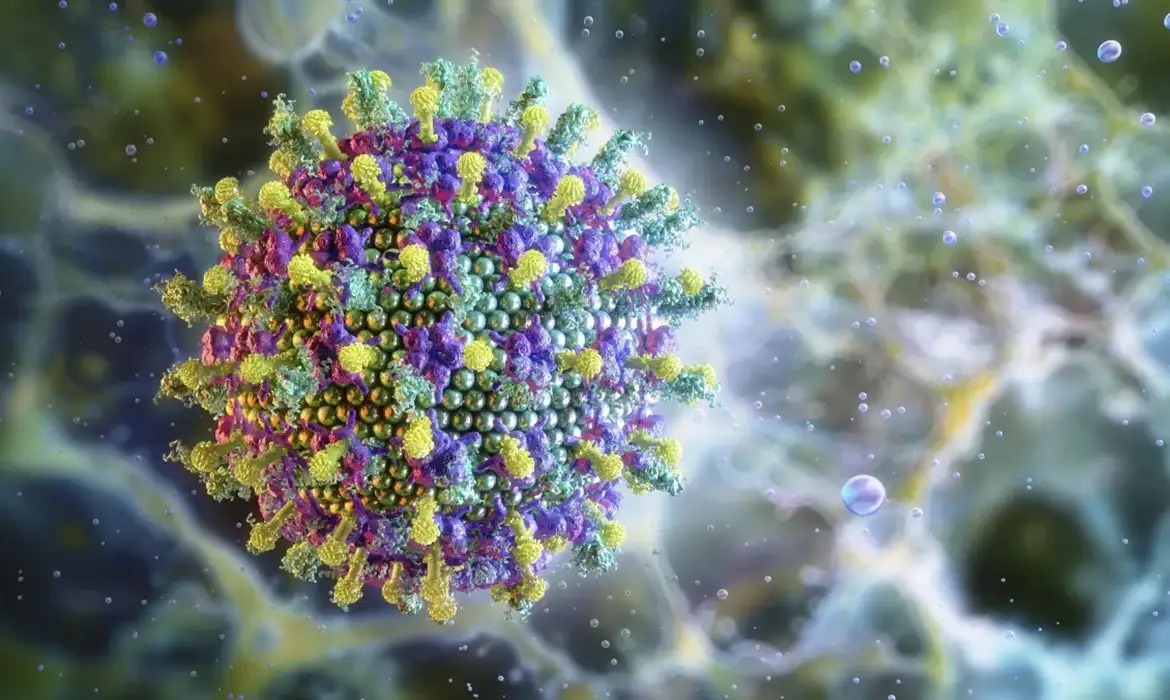 Vírus Nipah/Ruslanas Baranauskas/Divulgação