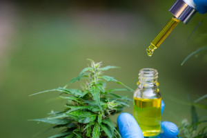 Anvisa aprova novas regras para uso de cannabis medicinal no Brasil