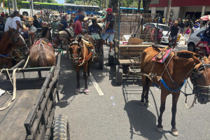Carroceiros do Recife fazem protesto e fecham ruas no Centro