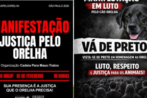Imagens que divulgam as manifesta&ccedil;&otilde;es que pedir&atilde;o justi&ccedil;a pelo c&atilde;o Orelha (em S&atilde;o Paulo e em Bras&iacute;lia) 