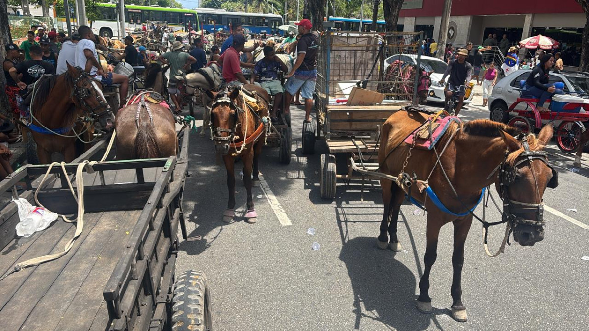 Carroceiros contestam lei municipal que entra em vigor no sábado (31)/Foto: Rafael Vieira/DP Foto