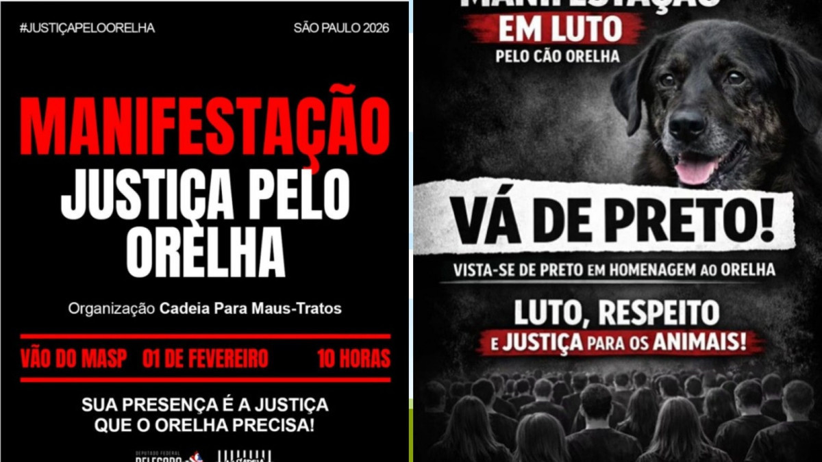 Imagens que divulgam as manifestações que pedirão justiça pelo cão Orelha (em São Paulo e em Brasília) /Reprodução/Instagram 