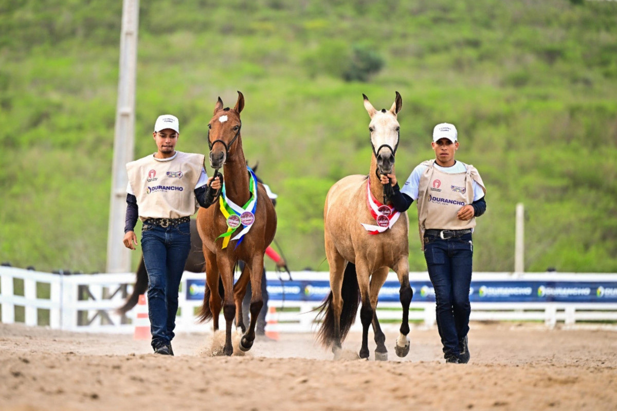  Copa de Marcha do cavalo Mangalarga Marchador/Foto:  Sidney Araújo