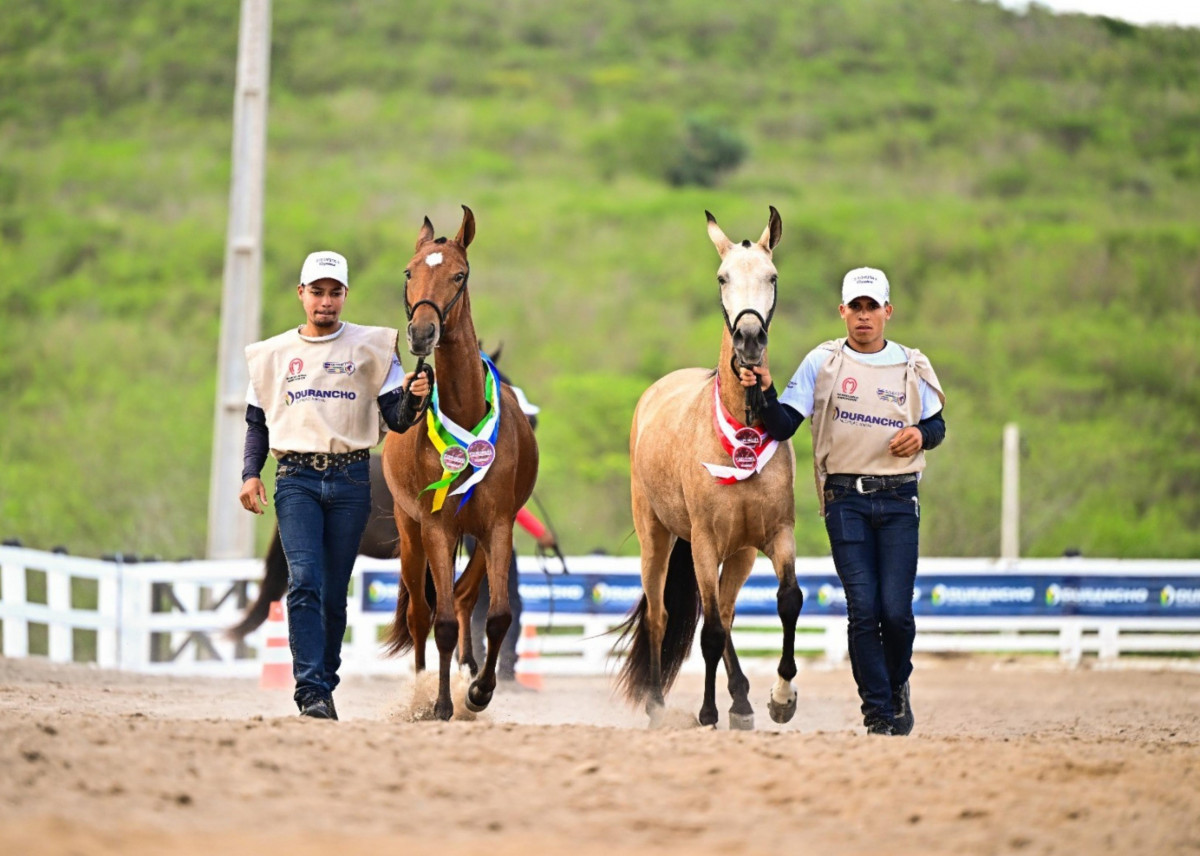 Foto:  Sidney Araújo