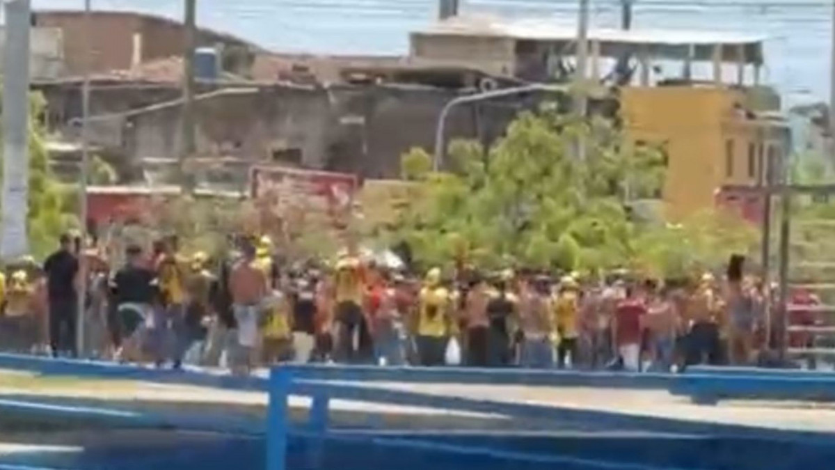 Organizada do Sport/Reprodução