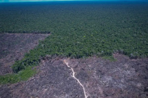 A Lei Geral do Licenciamento Ambiental (15.190/2025) come&ccedil;ou a vigorar nesta quarta-feira (4) 