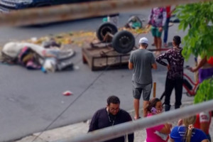 Cavalo morre ap&oacute;s carro&ccedil;a colidir com &ocirc;nibus no Recife; carroceiro teria fugido