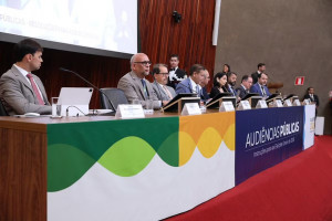 A audi&ecirc;ncia encerrou uma s&eacute;rie de debates p&uacute;blicos para aprimoramento das regras das elei&ccedil;&otilde;es deste ano