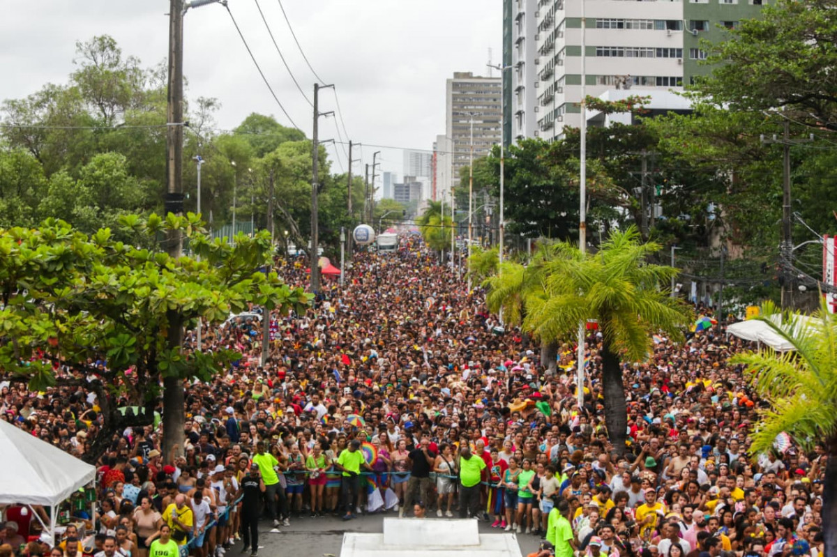 Uma multidão acompanhou Alceu Valença e convidados na Rua da Aurora, no Centro do Recife, neste domingo (8)/Foto: Crysli Viana/DP Foto