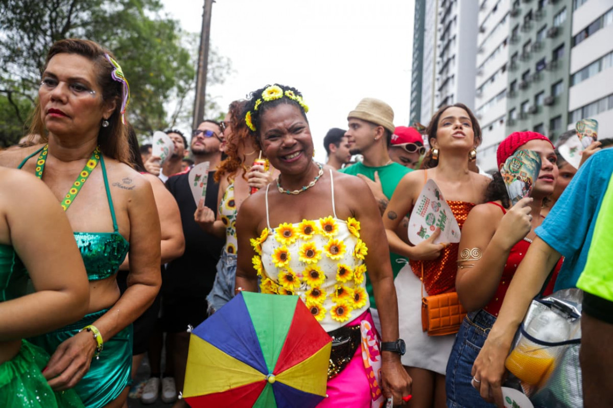 Cl&eacute;o Baracho, de 60 anos, fantasiada em homenagem &agrave; m&uacute;sica "GIrassol', de Alceu Valen&ccedil;a (Foto: Crysli Viana/DP Foto)