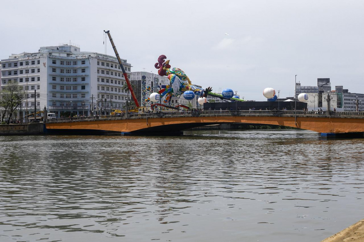 Galo Gigante de 2026 (Rafael Vieira/DP Foto)