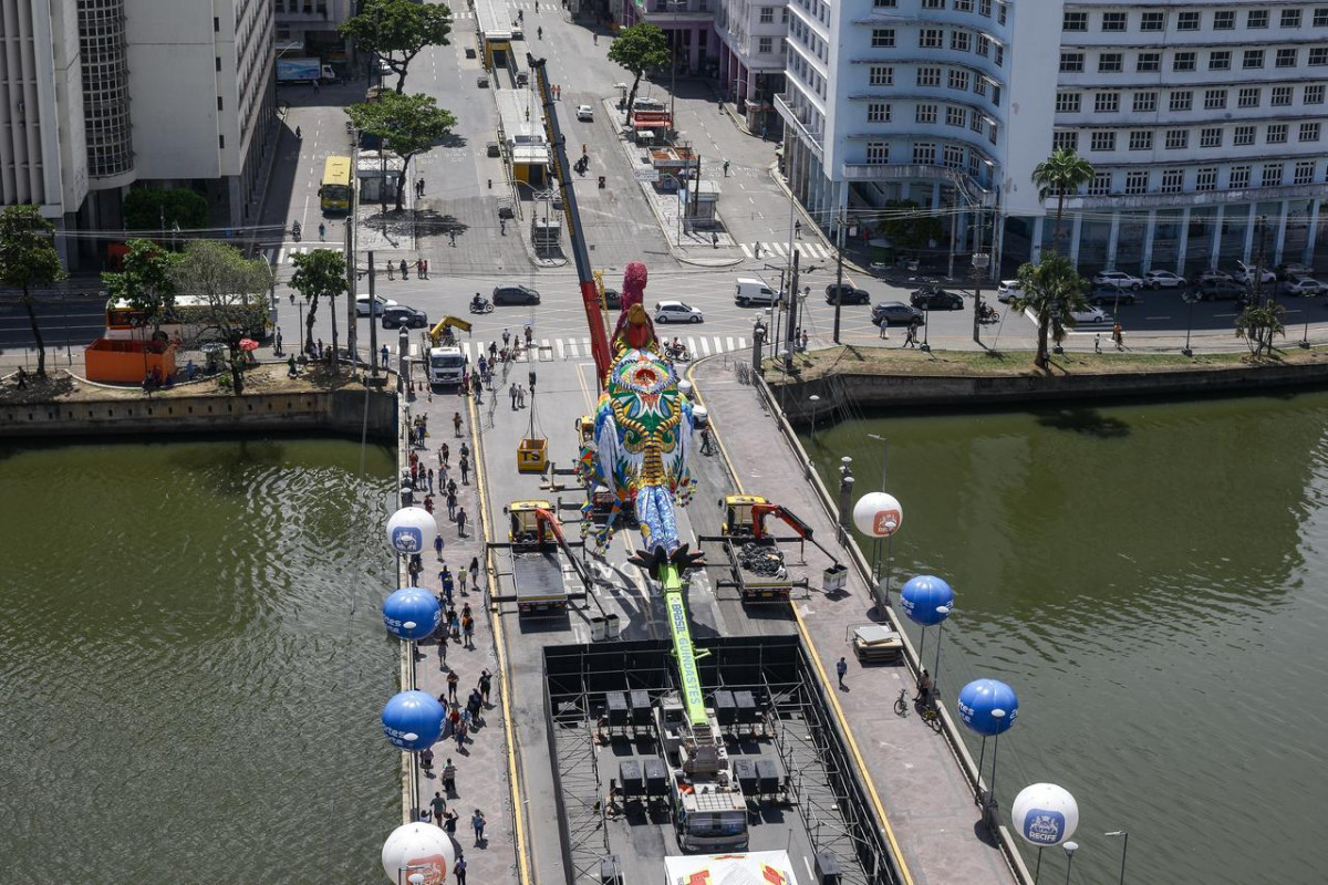 Galo Gigante de 2026 (Rafael Vieira/DP Foto)