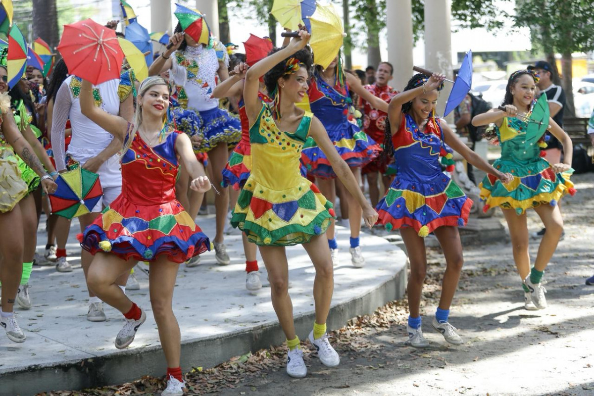 O frevo é celebrado em duas datas distintas. A primeira, comemorada no Recife, ocorre em 9 de fevereiro e faz referência ao trabalho do pesquisador e escritor Evandro Rabello. 
/Foto: Rafael Vieira / DP Fotos