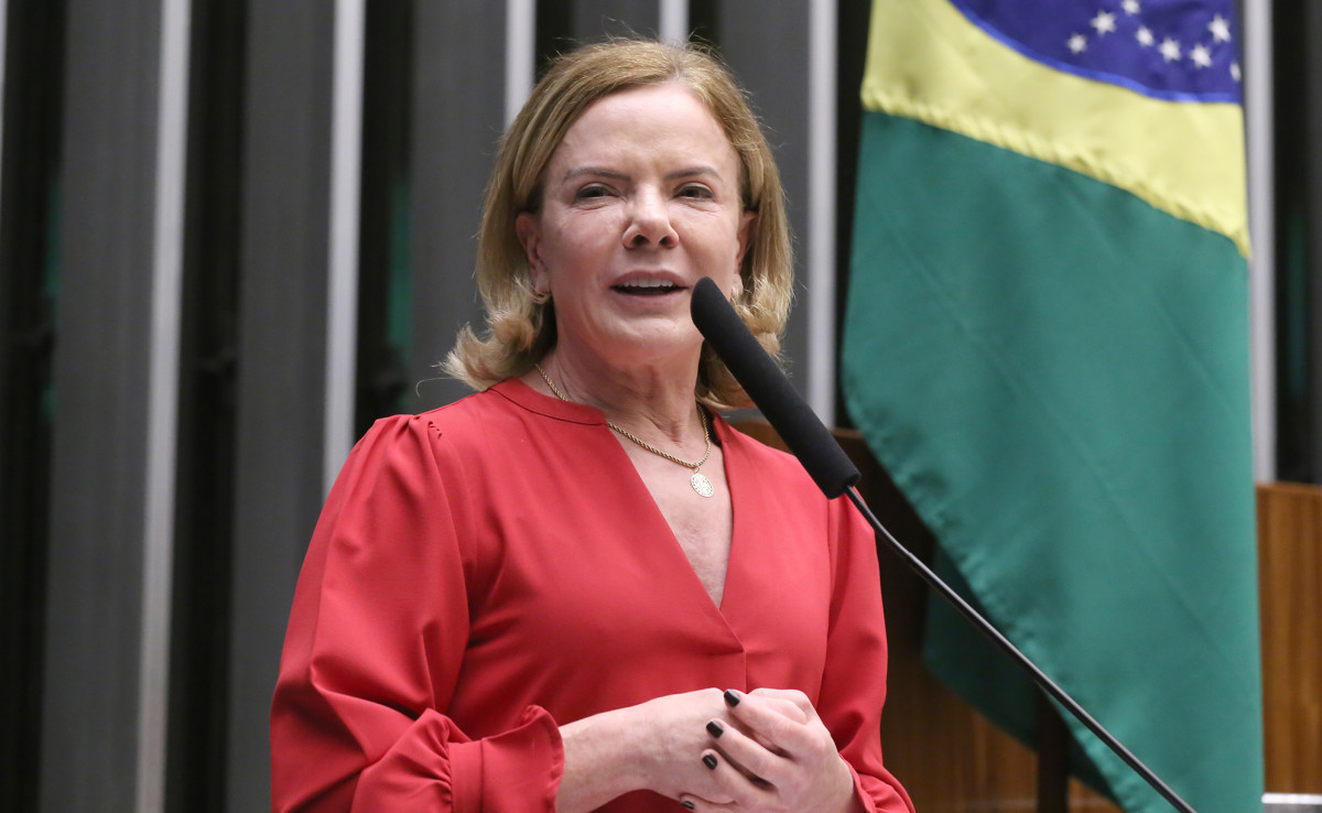 Ministra de Secretaria de Relações Institucionais, Gleisi Hoffmann.

/Kayo Magalhães / Câmara dos Deputados