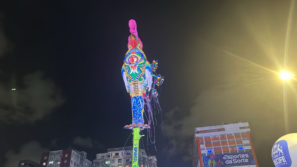 Galo Gigante foi erguido na noite desta quarta-feira (11) (Crysli Viana/DP Foto)