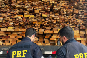 Carga de madeira ilegal apreendida pela PRF em rodovias do estado