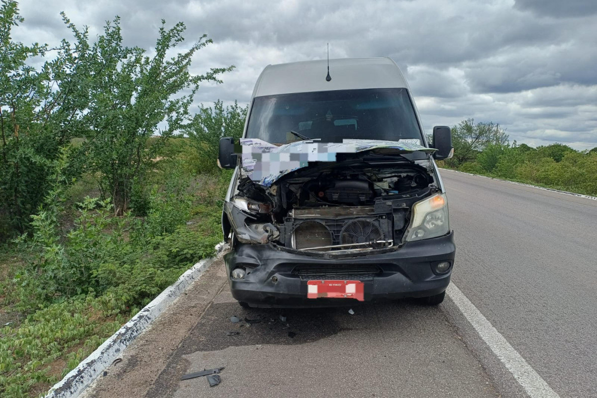 Menina de 11 anos morreu após ser atropelada por van na BR-116/Foto: PRF