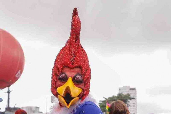Pica-pau foi um dos destaques do desfle do Galo /Rafael Vieira/ DP 