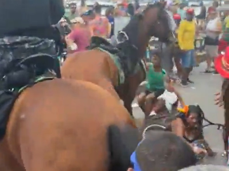 Polícia Militar afirma que cavalo se assustou com volume alto de grupo musical./Foto: Reprodução/Google Street View