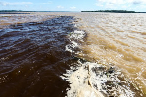 Encontro do Rio Negro e com o Rio Solim&otilde;es