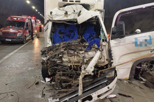 A frente do caminh&atilde;o ficou destru&iacute;da com o impacto