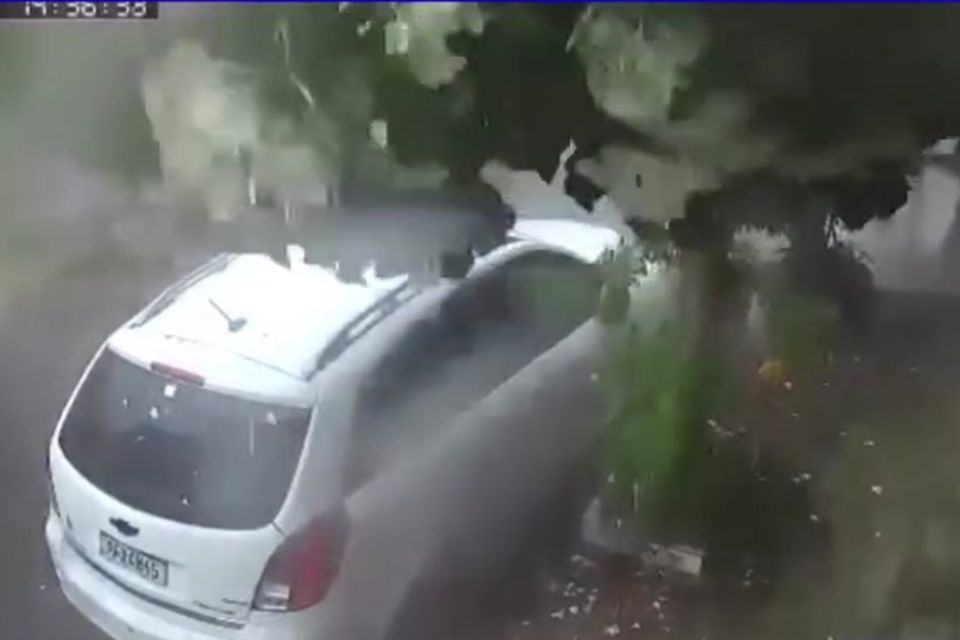 Imagens de uma câmera de segurança registraram o momento em que uma árvore quase atinge um carro que estava estacionado na Rua Capitão Buda, no bairro de São Cristóvão./Foto: Reprodução / Redes sociais