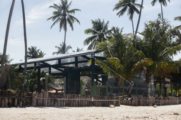 Casamento entre João Campos e Tabata Amaral ocorre na Praia de Carneiros