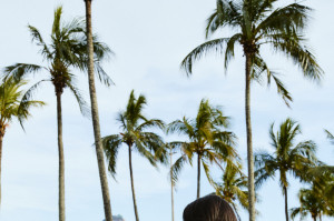 Evento ocorreu no Rio de Janeiro e chega ao Recife neste s&aacute;bado (28)