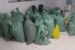 A PMPE apreendeu 241kg de maconha