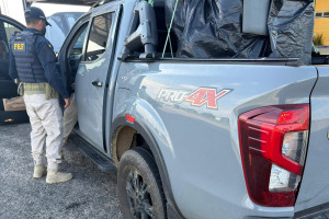 Homem &eacute; preso com caminhonete furtada em S&atilde;o Paulo durante fiscaliza&ccedil;&atilde;o na BR-428, em Petrolina
