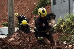 Resgate do c&atilde;o Paquito