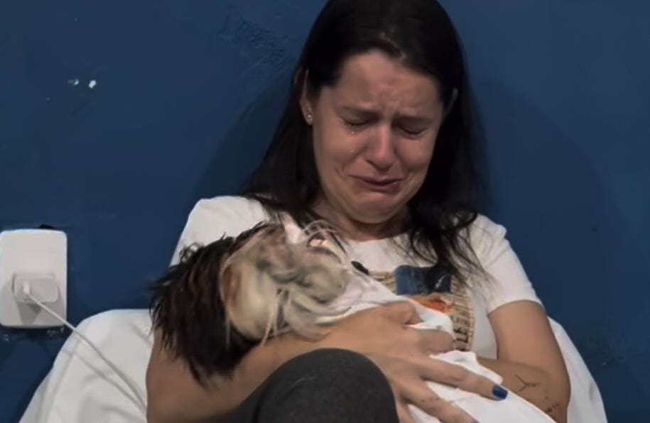 Momento em que Paquito é entregue a sua tutora (Reprodução/@instituto.caramelo e @gradbrasil)