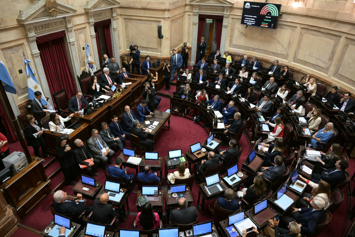 Senado argentino./ Juan Mabromata / AFP