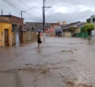 Ruas de Palmeirina, no Agreste, foram tomadas pela água, após a chuva /Redes Sociais 