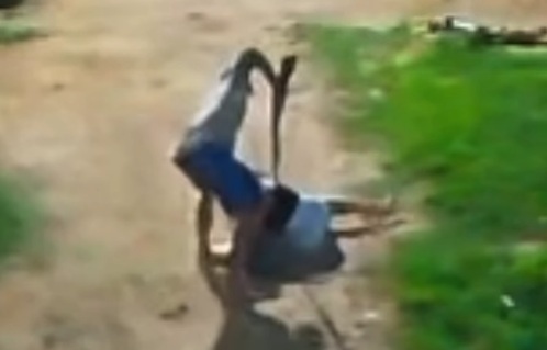 Reprodução/Redes sociais