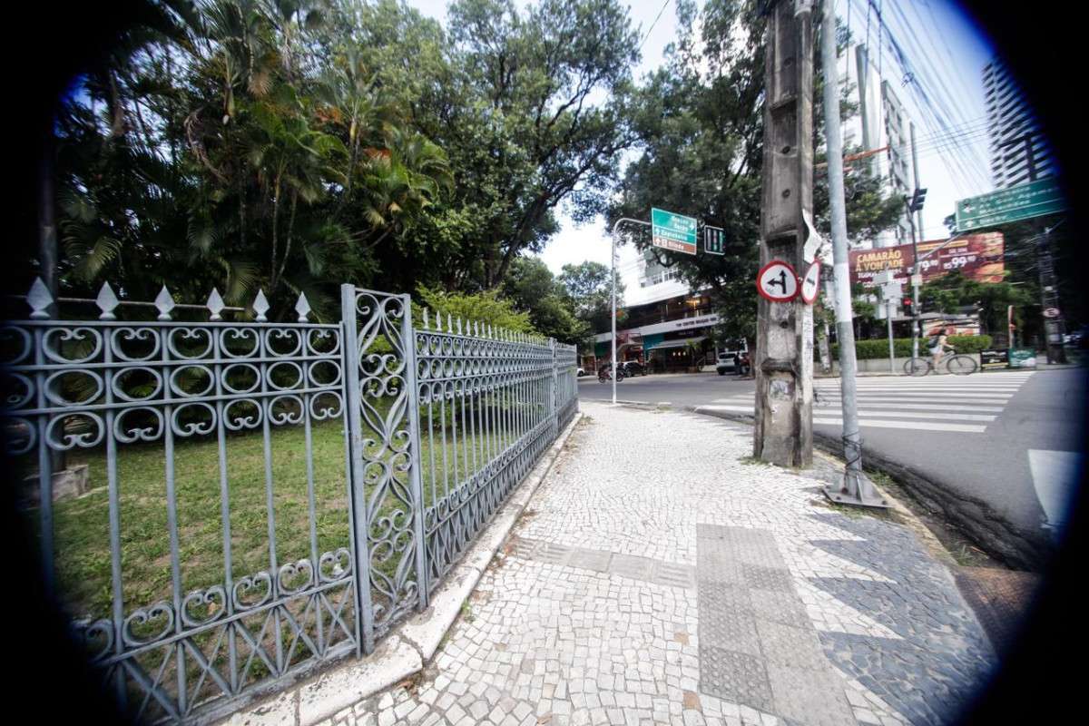 Amélia depositava seus cestos com alimentos nas laterais da casa (Marina Torres/DP Foto)